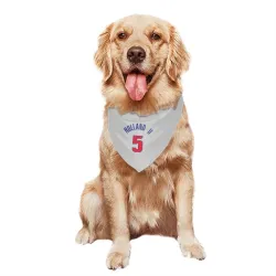 Detroit Pistons Ronald Holland II White Pet Bandana for Dog & Cat