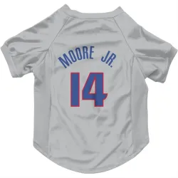 Detroit Pistons Wendell Moore Jr. Gray Pet Jersey for Dog & Cat
