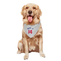 Detroit Pistons Wendell Moore Jr. White Pet Bandana for Dog & Cat