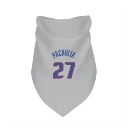 Detroit Pistons Zaza Pachulia Gray Pet Bandana for Dog & Cat
