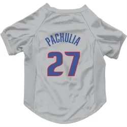 Detroit Pistons Zaza Pachulia Gray Pet Jersey for Dog & Cat