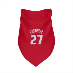 Detroit Pistons Zaza Pachulia Red Pet Bandana for Dog & Cat